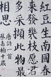 成人毛笔自学打卡视频