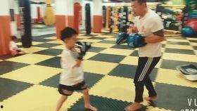 成人搏击上课视频大全,全方位教学视频大盘点