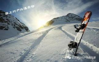 滑雪车成人自制视频,体验冬季激情滑雪新玩法