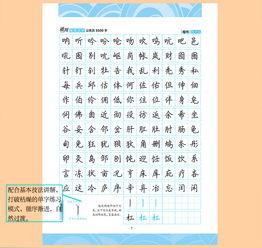 钢笔字练字成人技巧视频,轻松掌握优雅书写艺术