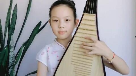 成人可学琵琶吗视频教学