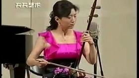 成人可学琵琶吗视频教学